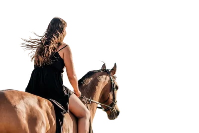 Фото амазонка. Портрет женщина на коне, девушка и лошадь. Наездница, рисунок