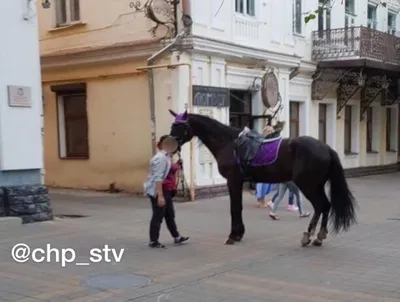 Девушка на лошади :: Виктория Рябчунова – Социальная сеть ФотоКто