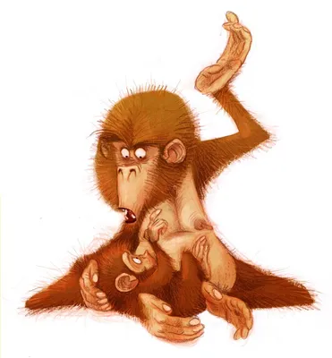 Горилла, обезьяна, женщина стоковое фото. изображение насчитывающей  преобладать - 163113642