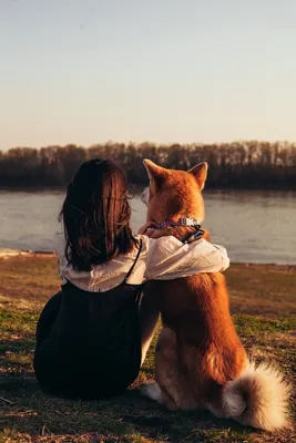 Девушка с собакой | Фото собак, Мамочка для собаки, Собачьи портреты