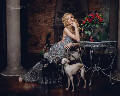 Женщина в образе Кармен с собакой породы французский бульдог в студии Stock  Photo | Adobe Stock