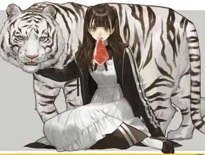 Живопись по номерам Девушка тигр единение картина по номерам 40х50
