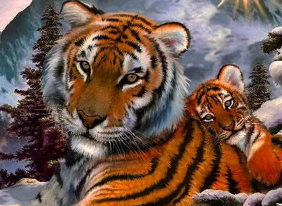 Женский Тигр, Panthera Tigris Tigris. В Природной Среде Обитания  Национального Парка Рантхамбор Фотография, картинки, изображения и  сток-фотография без роялти. Image 72849287