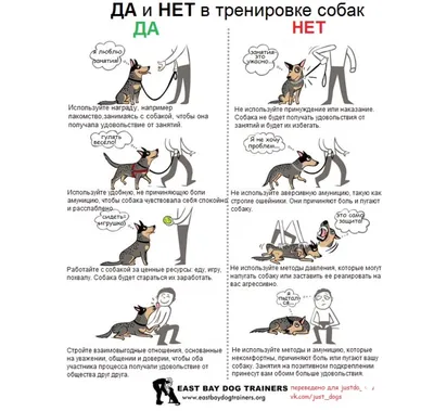 Умная собака. Язык жестов собак. - libenbern Jimdo-Page!