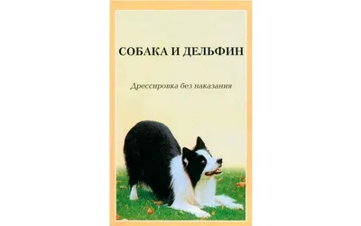 Анатомическая шлейка для собак, мелких и средних пород, щенков. Размер S.  Синий. - купить с доставкой по выгодным ценам в интернет-магазине OZON  (1373405984)