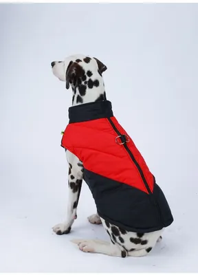 Купить жилет для собак на липучке цвета хаки GL-4 (осень-зима)