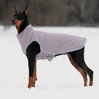 Одежда для собак крупных и средних пород JOY Комбинезон Дождевик для собак  45М для самок - купить с доставкой по выгодным ценам в интернет-магазине  OZON (301541957)