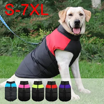 Как связать спицами жилетку для собаки, knitting vest for dogs - YouTube