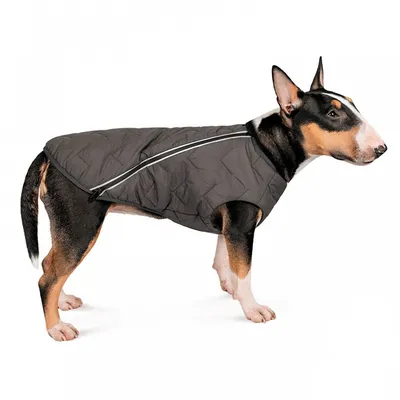 Мягкая флисовая одежда для маленьких собак на весну и лето, жилет для  щенков и кошек, одежда для чихуахуа, куртка для французского бульдога,  куртка для мопса, пальто | AliExpress