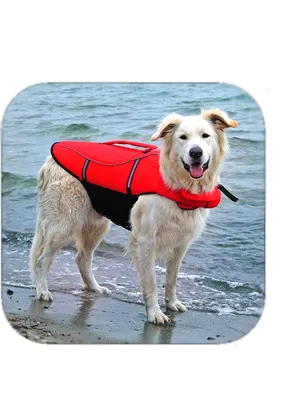 Жилет для собак Rain Dog RD08-04370148 купить по цене 2690 ₽ с доставкой в  Москве и России, отзывы, фото