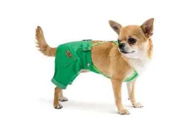 Одежда для собак, теплый Жилет куртка Winter Для французского бульдога,  мопса весна, осень, зима (ID#643351290), цена: 839 ₴, купить на Prom.ua