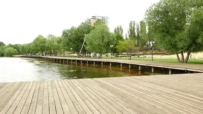 Основные работы в парке «Дельфин» завершатся к концу осени | 36on.ru