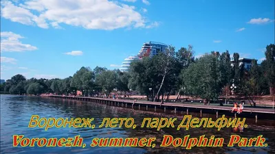Маяк и новые скамейки. Как в Воронеже идет реконструкция парка «Дельфин»