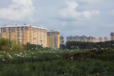 Новый пул апартаментов в ЖК «Люберцы» доступен для бронирования