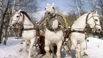 Картина \"Зимняя тройка лошадей\" — купить по низкой цене на Яндекс Маркете