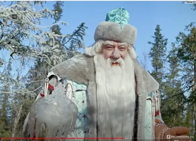 Зимний лес из сказки Морозко: фото сказочной атмосферы