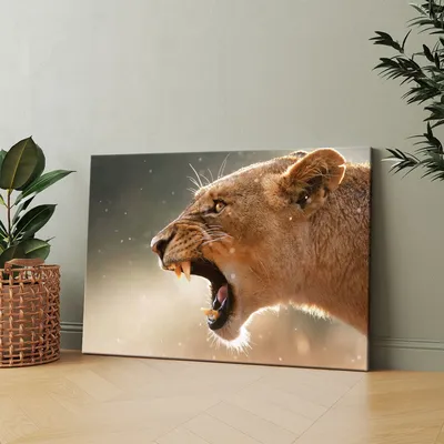 Картинки хищница, львица, природа, злость, красиво, кошка, лев - обои  1280x800, картинка №174699