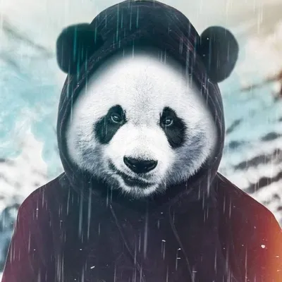 Наклейка на авто Hi panda злая панда трусы белые - купить по выгодным ценам  в интернет-магазине OZON (709088640)