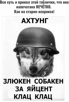 Информационная табличка \"Злюкен собакен\" 270x190 мм из пластика 3 мм (Ф) —  купить в интернет-магазине по низкой цене на Яндекс Маркете
