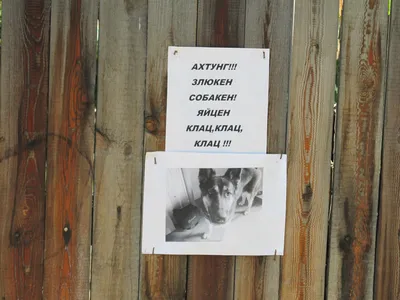 Табличка \"Злюкен собакен\" – купить за 282 руб | Интернет-магазин \"ВИНЕГРЕТ\"