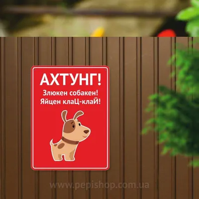 Фотография: Злюкен собакен! | Живой Ангарск | LiveAngarsk.ru