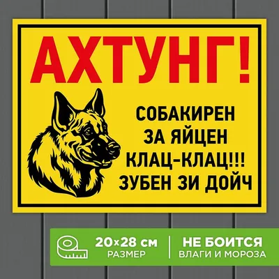 Табличка \"Злюкен собакен\" купити недорого TS-0088