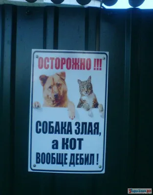 Обережно злий собака пес табличка (ID#1759707075), цена: 120 ₴, купить на  Prom.ua