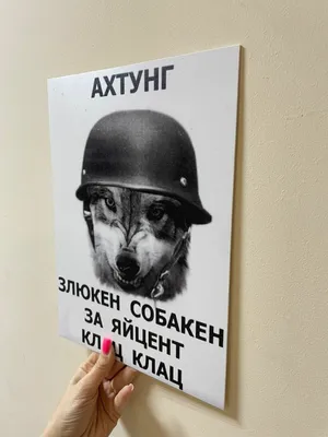 Табличка на забореАхтунг Злюкен собакен Яйцен клац клац - выпуск №1443182