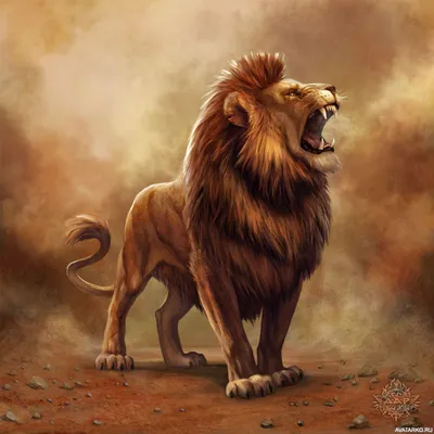 Картинки лев Клыки злой животное 1920x1080