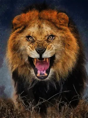 Пасть льва рисунок - 75 фото