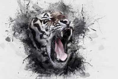 Постер (плакат) Злой тигр , арт.: 38469