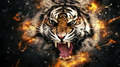 Злой тигр в джунглях | Премиум Фото