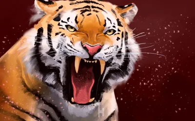 Злая морда тигра с небольшим оскалом — Картинки на аву | Тигр, Животные,  Картинки