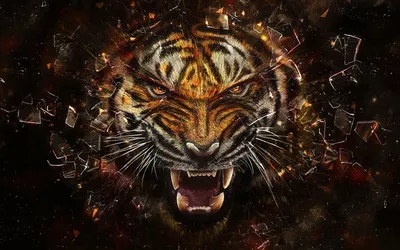Злой жестокий тигр | Премиум Фото