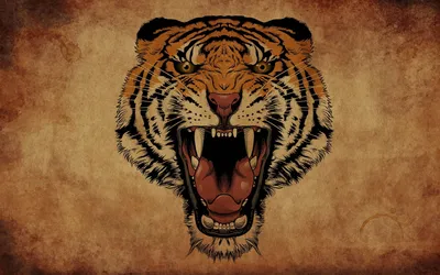 Злой тигр арт - 71 фото