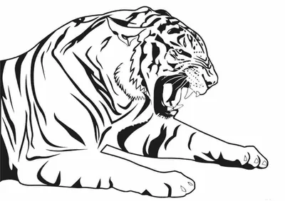 близкий злой портрет тигра на темноте Стоковое Изображение - изображение  насчитывающей сторона, джунгли: 270507653