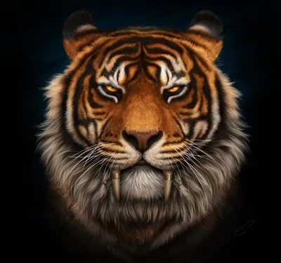 Злая Tiger — стоковые фотографии и другие картинки Тигр - Тигр,  Поворачивать, Ожидание - iStock