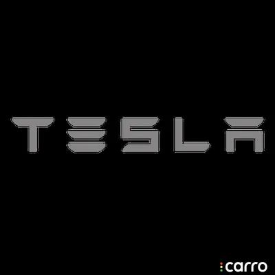Значок Тесла большое лого паттерн купить в интернет магазине | Цена 95 руб  | Автомобильные