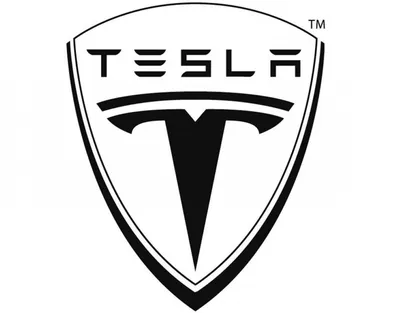 Значок Tesla Model S 2012-2023 (105638600)