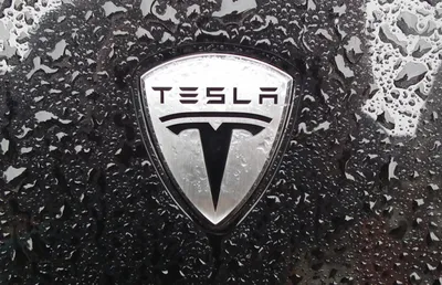 Илон Маск раскрыл секрет логотипа Tesla