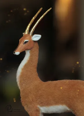 Уникальное фото Золотой антилопы в формате png