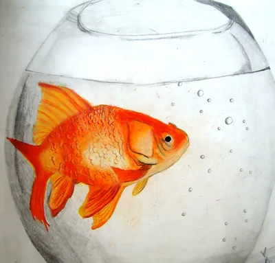 Иллюзионное фото Золотая рыбка в аквариуме для ваших мечтаний