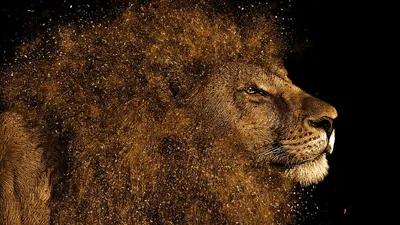 Золотой лев в искрах, высокая …» — создано в Шедевруме