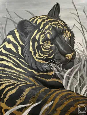 Самка Белого Бенгальского Тигра Золотой Тигр — стоковые фотографии и другие  картинки Без людей - Без людей, Белый тигр, Бенгальский тигр - iStock