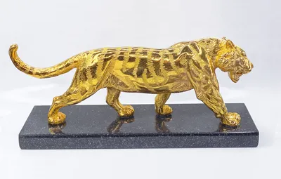 Framed golden tiger | The male golden tiger was lurking unde… | Flickr