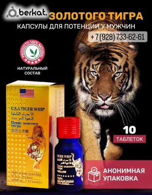 ᐉ Картина Malevich Store Золотой тигр 30x40 см (P0413)