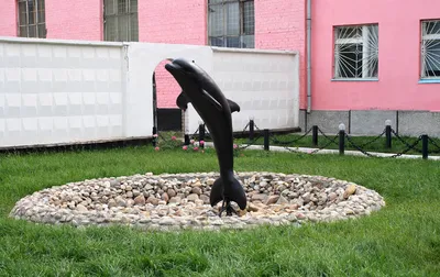 Чёрный дельфин, жанровая скульптура, Оренбургская область, Соль-Илецк,  Советская улица — Яндекс Карты
