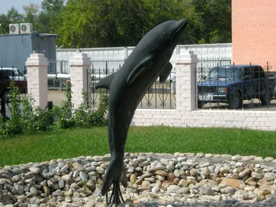 Черный дельфин. Тюрьма для пожизненно приговоренных | Пикабу