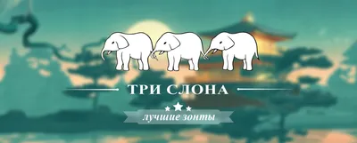 Зонты Три Слона | Интернет-магазин мужских и женских зонтов Три Слона