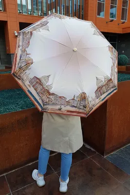 Зонт Три Слона r-55см купол секторальный 16 спиц 3160 купить в Москве -  цена в магазине Домашний мастер